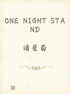 ONE NIGHT STAND